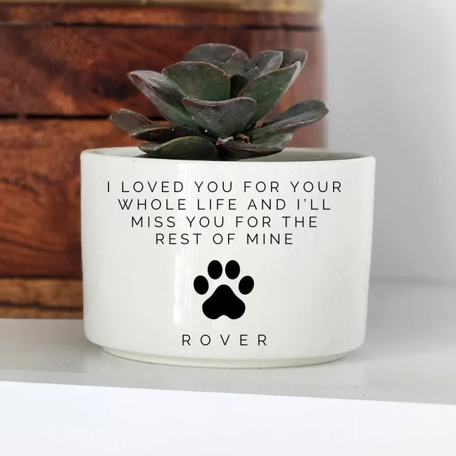 Personalized Mini Succulent Plant Pot