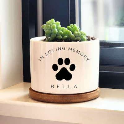 Personalized Mini Succulent Plant Pot