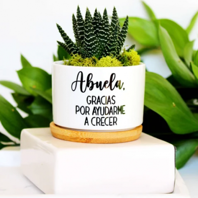 Personalized Mini Succulent Plant Pot
