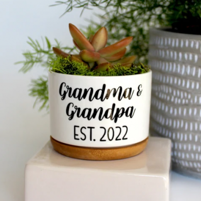 Personalized Mini Succulent Plant Pot