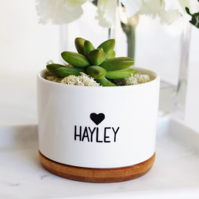 Personalized Mini Succulent Plant Pot