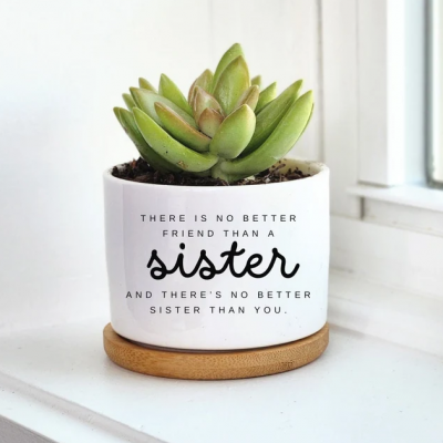 Personalized Mini Succulent Plant Pot